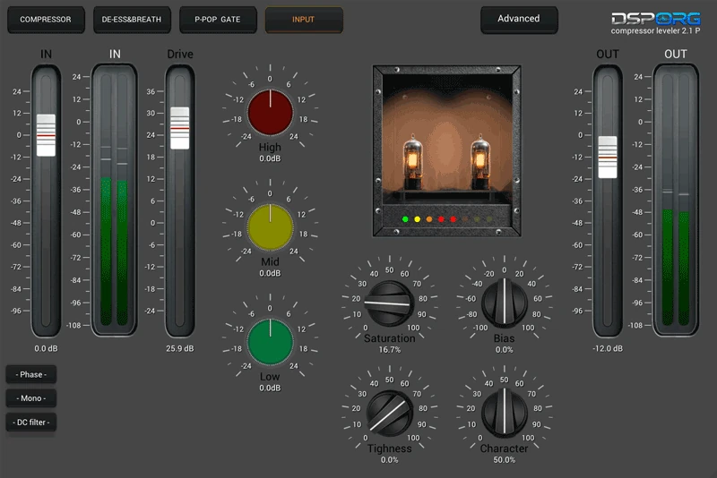 DSPORG Tube Processing