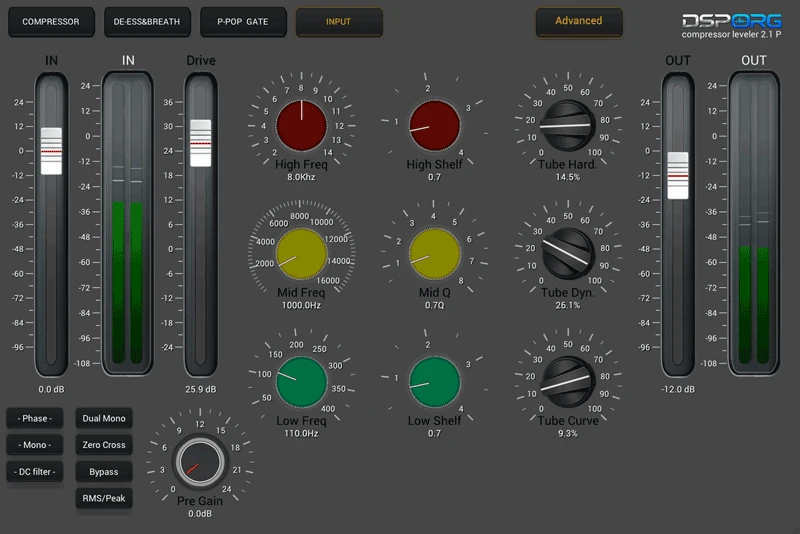 DSPORG Tube Processing Advanced